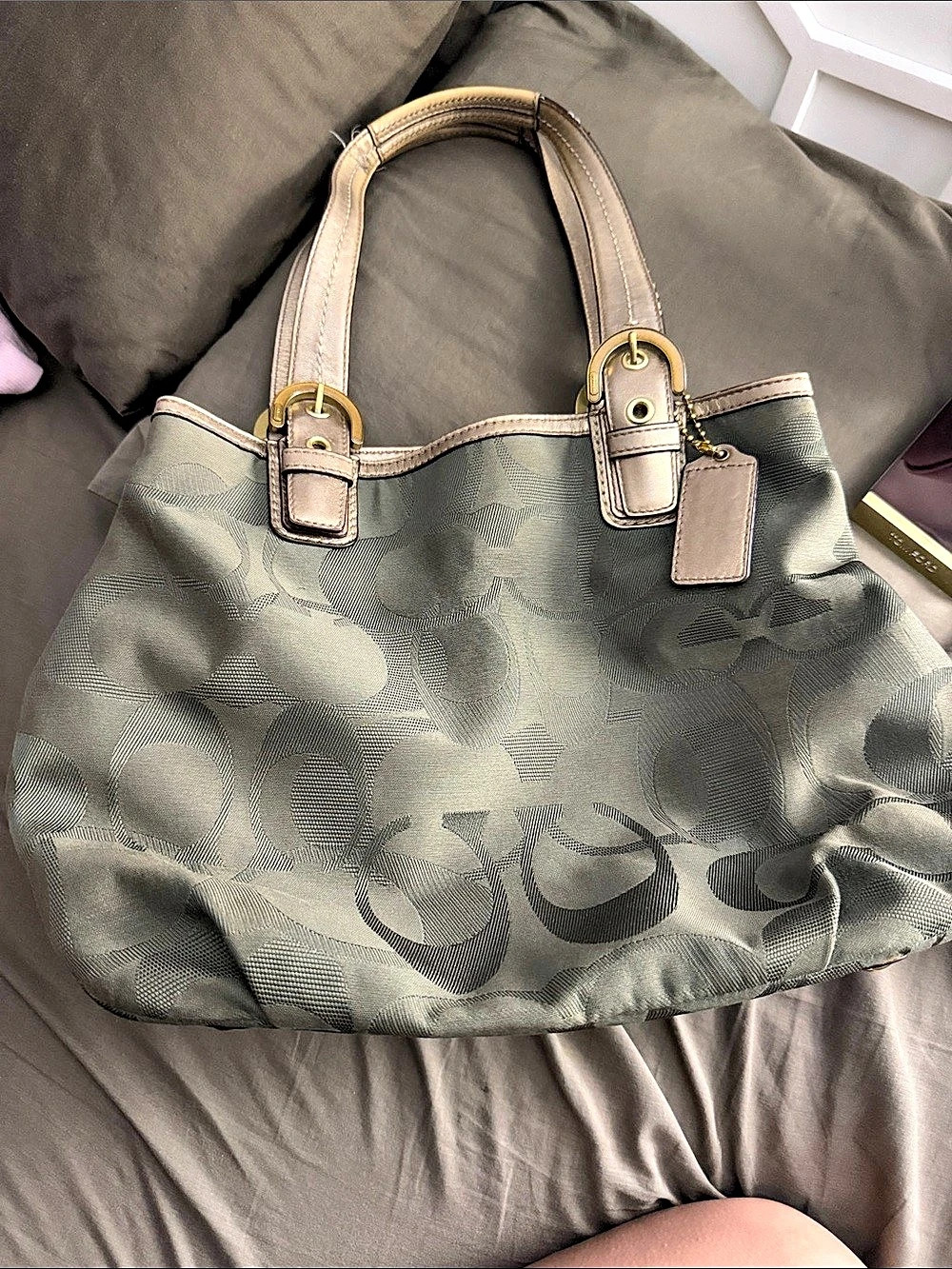 Coach Signature Canvas Tote in Green & Brown